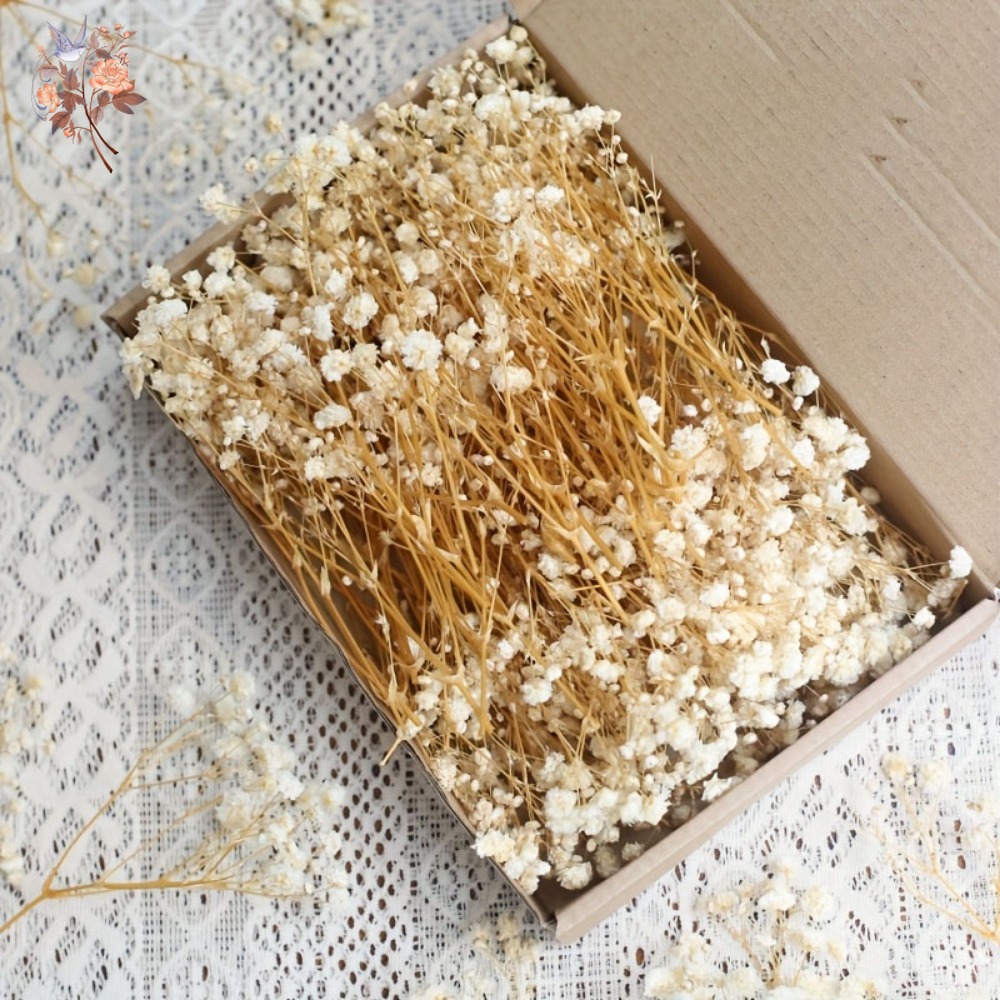 Dried Flower Bunch - ดอกยิปโซฟิล่าแห้งขนาดเล็ก 100 ชิ้น สำหรับงานประดิษฐ์เรซิน DIY ตกแต่งบ้าน