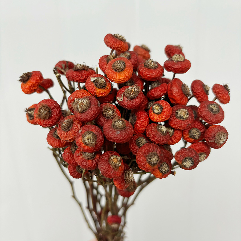 ดอกกุหลาบฮิปแห้ง 10 ชิ้น/ช่อ ด - Dried Flower Bunch บทวิจารณ์และราคา