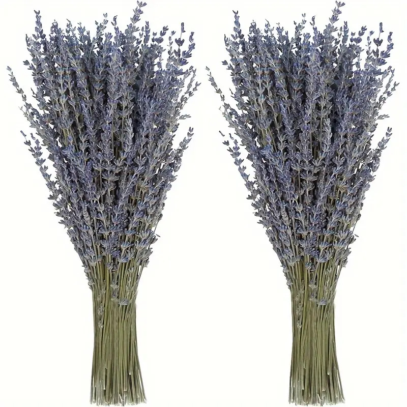 200 ชิ้น/ช่อ ดอกลาเวนเดอร์แห้ง - Dried Flower Bunch บทวิจารณ์และราคา
