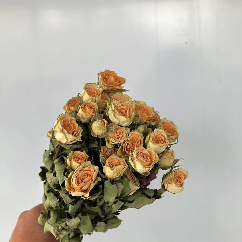 ช่อดอกกุหลาบแห้งจริง ดอกไม้แห้ - Dried Flower Bunch บทวิจารณ์และราคา