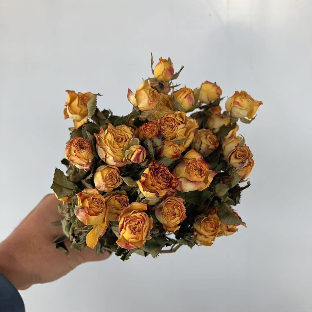 ช่อดอกกุหลาบแห้งจริง ดอกไม้แห้ - Dried Flower Bunch บทวิจารณ์และราคา