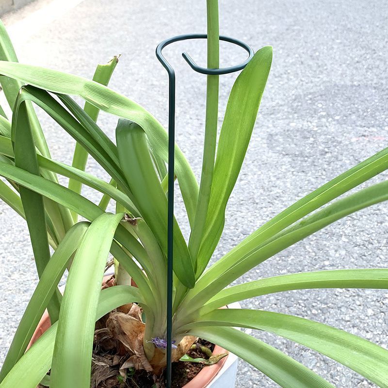 1-10pcs โลหะ SINGLE Stem พืชไม - Supply For Florist บทวิจารณ์และราคา