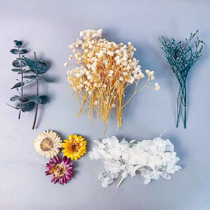 ชุดดอกไม้แห้งหลากหลายชนิด 1 แพ - Dried Flower Bunch บทวิจารณ์และราคา
