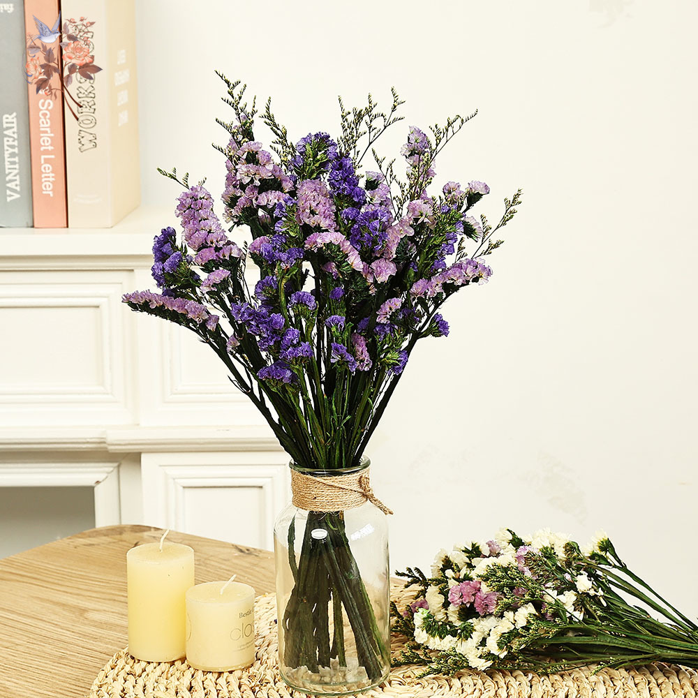 100g ธรรมชาติจริงลืม-me-not ดอ - Dried Flower Bunch บทวิจารณ์และราคา