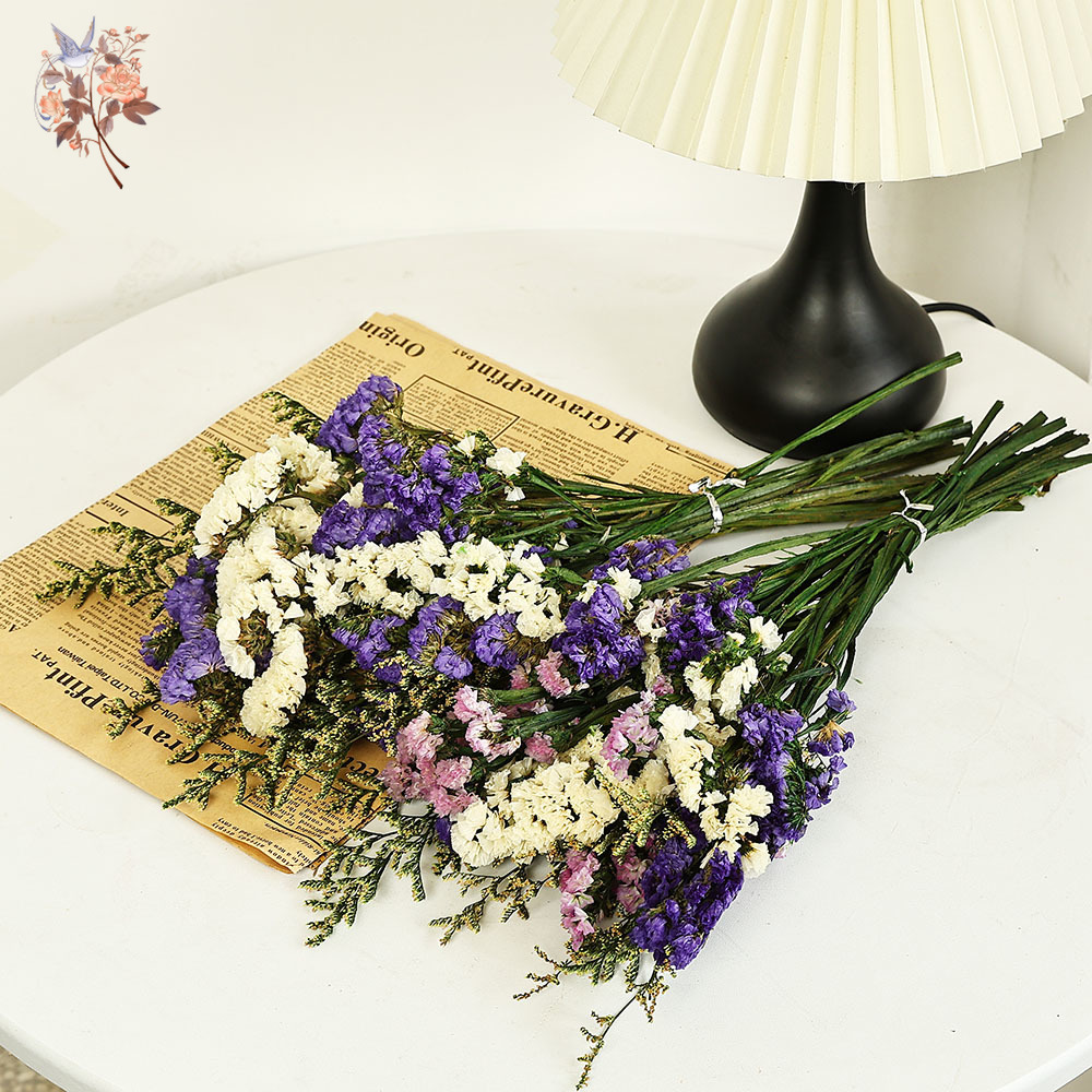 100g ธรรมชาติจริงลืม-me-not ดอ - Dried Flower Bunch บทวิจารณ์และราคา