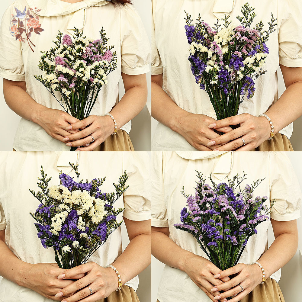 100g ธรรมชาติจริงลืม-me-not ดอ - Dried Flower Bunch บทวิจารณ์และราคา
