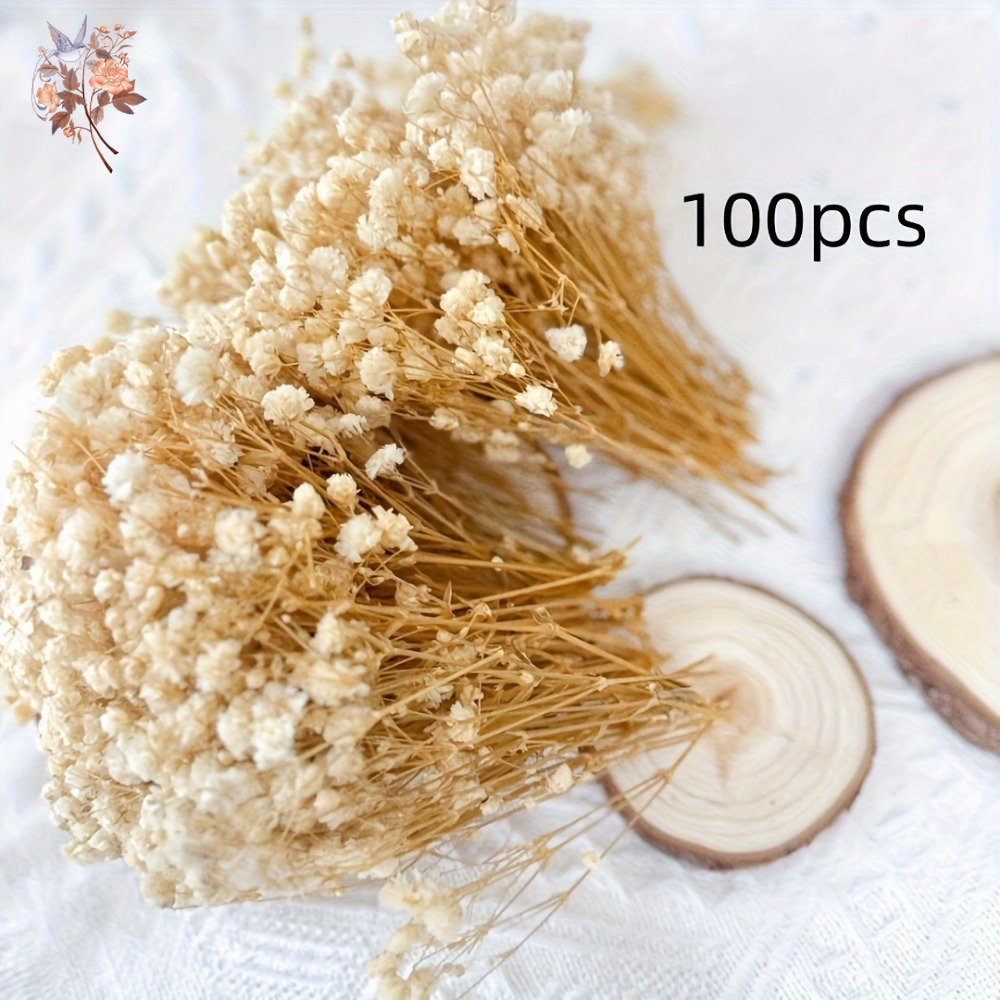 ดอกยิปโซฟิล่าแห้งขนาดเล็ก 100  - Dried Flower Bunch บทวิจารณ์และราคา