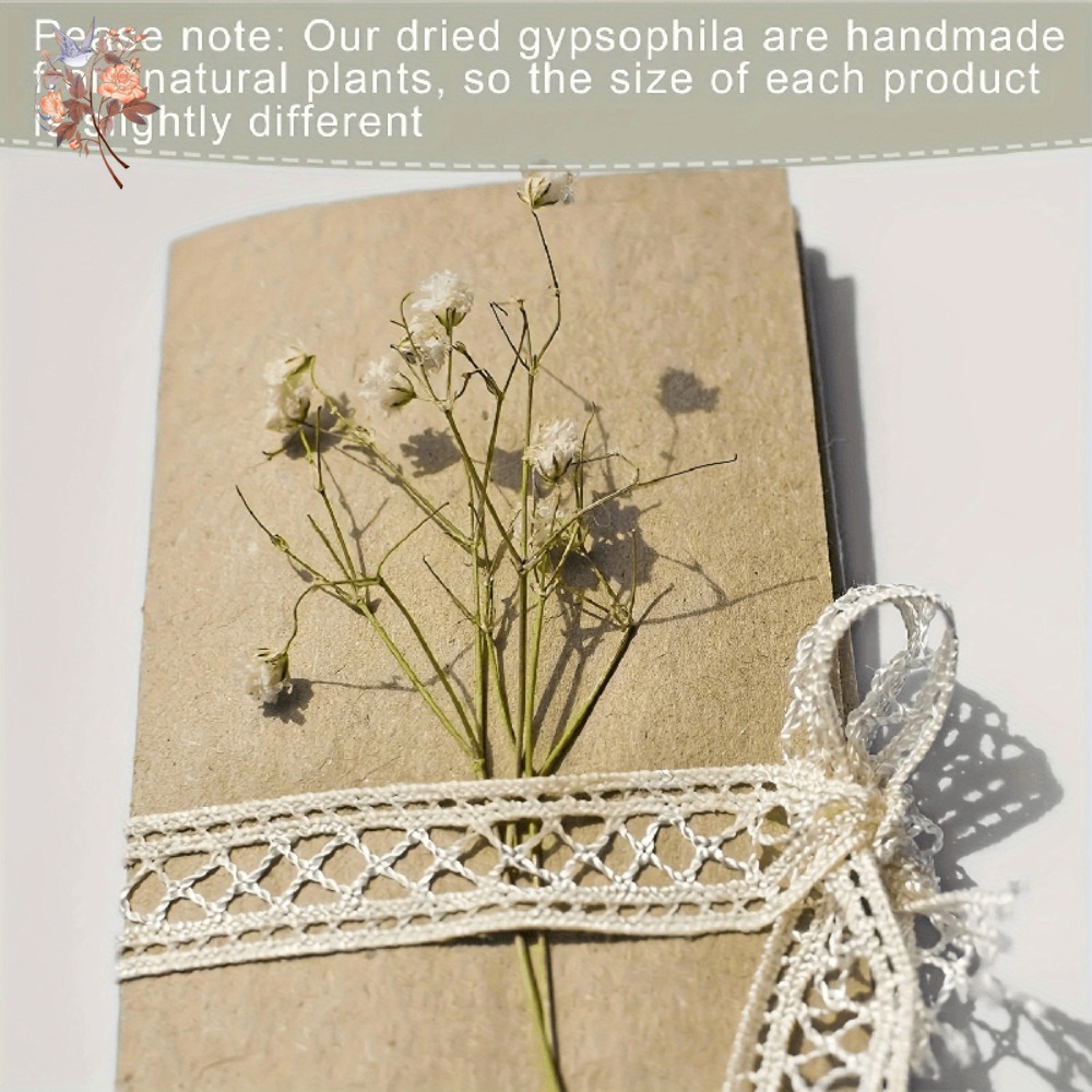 ดอกยิปโซฟิล่าแห้งขนาดเล็ก 100  - Dried Flower Bunch บทวิจารณ์และราคา